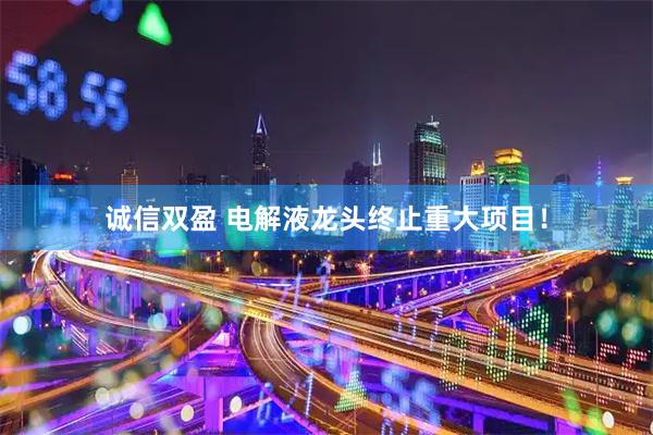诚信双盈 电解液龙头终止重大项目！