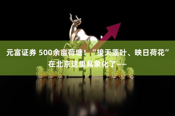 元富证券 500余亩荷塘！“接天莲叶、映日荷花”在北京这里具象化了——